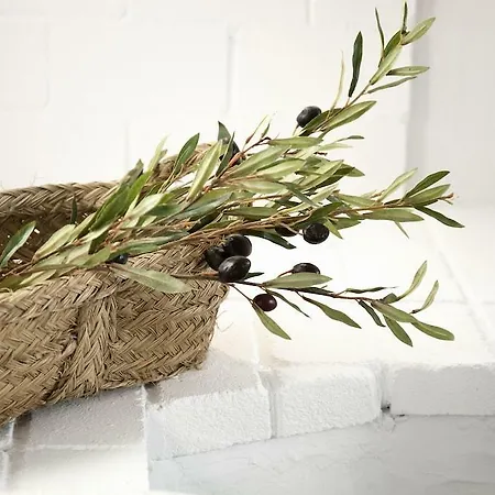 Aparthotel Villas S'Argamassa Playa S'Argamassa